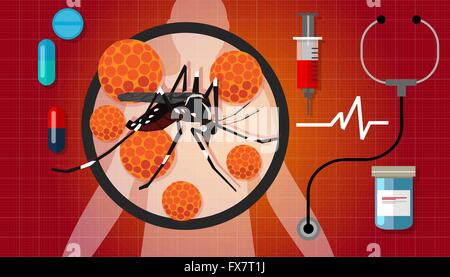 Zika virus zica masquito aotubreak pandémie la propagation de l'espèce Aedes aegypti Illustration de Vecteur