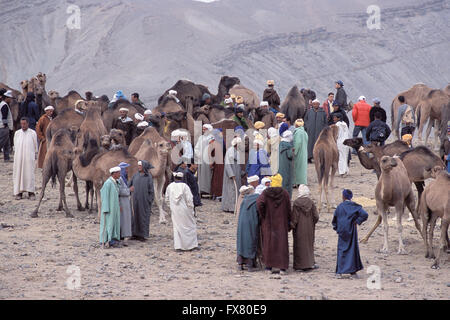 Souk, fiancée, Moussem d'Imilchil, montagne de l'Atlas, Maroc Banque D'Images