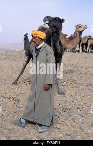 Souk, fiancée, Moussem d'Imilchil, montagne de l'Atlas, Maroc Banque D'Images