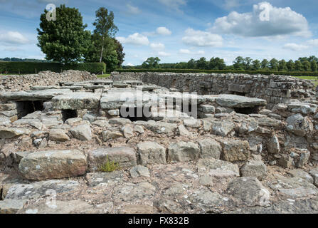 Romain de Corbridge ville près de mur d'Hadrien, dans le Northumberland, England, UK Banque D'Images