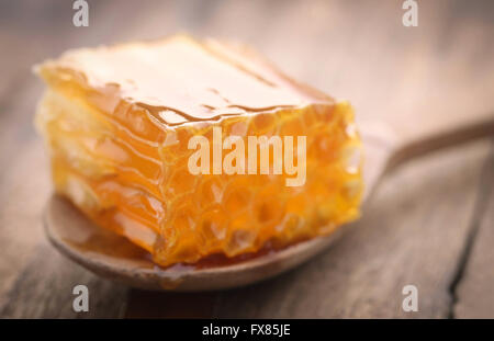 Gros plan du miel dans une cuillère en bois Banque D'Images