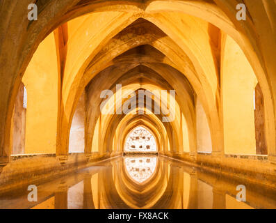 Los Baños de Doña María de Padilla. Alcazar, Séville, Andalousie, Espagne Banque D'Images