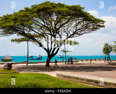 Forodani jardins sur le bord de l'Océan Indien de Stone Town Zanzibar près de la Maison des Merveilles Banque D'Images