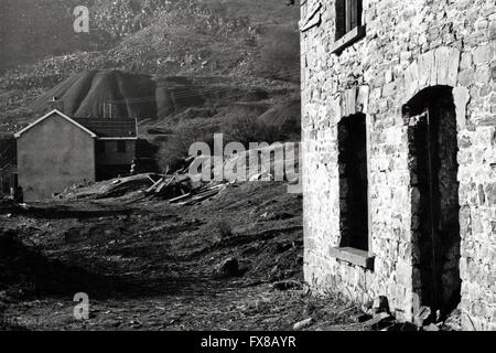 Image d'archive à partir de 1980. Site de réaménagement des rangées de maisons anciens mineurs à la British près de Pontypool, Gwent, Galles du Sud, UK Banque D'Images