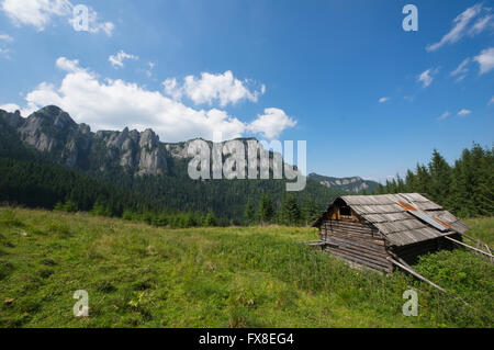 Ancienne bergerie chalet sur la montagne (Carpates roumaines) Banque D'Images