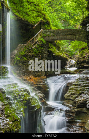 Watkins Glen State Park, NEW YORK Banque D'Images