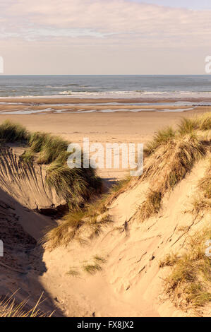 Grandes plages de sable aux côtés de dunes de sable bordant Ynyslas Ceredigion Cardigan Bay partie de Dyfi Réserve naturelle nationale. Banque D'Images