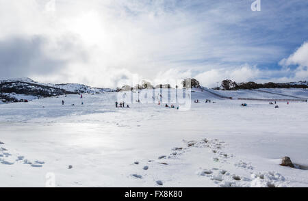 L'Australie, Nouvelle Galles du sud, montagnes enneigées, Kosciusko National Park, dans la neige au nord du champ de neige Perisher Banque D'Images