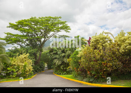 Vue sur le volcan Arenal cone de La Fortuna, Costa Rica Banque D'Images