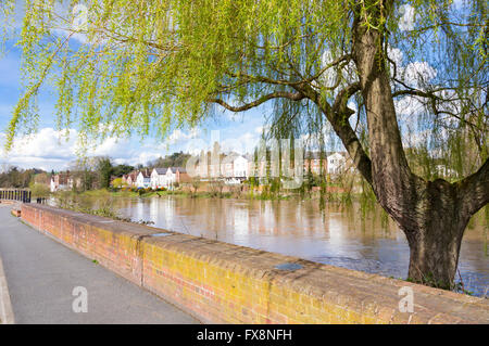 Les défenses contre les inondations sur la rivière Severn à Bewdley, Worcestershire, Angleterre, RU Banque D'Images