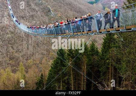 Suspension Bridge, Geierlay Sosberg entre villages et Mörsdorf, 360 mètres de longueur, le plus long pont suspendu de l'Allemagne Banque D'Images