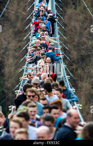 Suspension Bridge, Geierlay Sosberg entre villages et Mörsdorf, 360 mètres de longueur, le plus long pont suspendu de l'Allemagne Banque D'Images