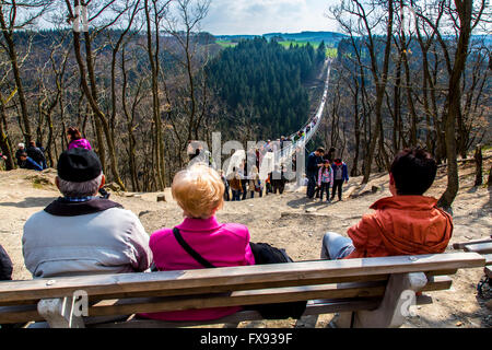 Suspension Bridge, Geierlay Sosberg entre villages et Mörsdorf, 360 mètres de longueur, le plus long pont suspendu de l'Allemagne Banque D'Images