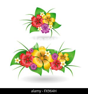 Les éléments de décor de fleurs tropicales Illustration de Vecteur