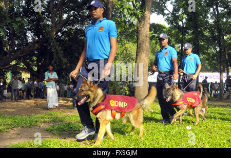 Dhaka, Bangladesh. 13 avr, 2016. Les forces de sécurité avec des chiens de patrouille en vue de la prochaine nouvelle année Bengali à Dhaka, Bangladesh, le 13 avril 2016. Les autorités du Bangladesh ont décidé de renforcer la sécurité dans la capitale, Dhaka et ailleurs au pays dans le cadre de leurs efforts pour assurer la sécurité à toute épreuve pour célébrer le Nouvel An Bengali. © Shariful Islam/Xinhua/Alamy Live News Banque D'Images