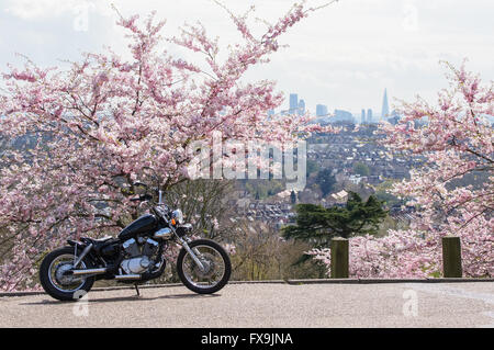 Météo ensoleillée à Alexandra Palace, Londres Angleterre Royaume-Uni UK Banque D'Images