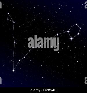 Constellation Pisces Illustration de Vecteur