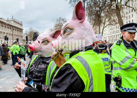 Les manifestants portant des masques de cochon appel à la démission du Premier Ministre David Cameron, London, UK Banque D'Images