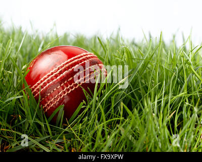 Cricket Ball en cuir rouge Banque D'Images