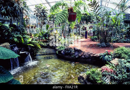 Le Sherman Library & Gardens à Corona del Mar, Orange County, Californie, USA, est une attraction touristique unique avec des plantes du monde entier et historique un aperçu de la région du Sud-Ouest du Pacifique. Le Sherman Gardens ressemble à un musée de la vie des plantes qui s'affichent au milieu de fontaines, de sculptures et de fleurs de saison. Ce jardin botanique oasis dispose d Rose, Herb, Cactus et les jardins japonais, ainsi qu'une grotte de fougère et le conservatoire de plantes tropicales vu ici. Dans le Sherman Library's little adobe maison sont en train de changer les pièces qui illustrent le patrimoine de la région du Sud-Ouest du Pacifique. Banque D'Images