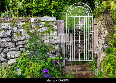 Garden Gate dans un mystérieux jardin secret. Banque D'Images