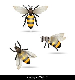 Ensemble d’icônes abeilles Illustration de Vecteur