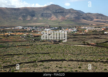 Vue de La Oliva, Fuerteventura, Îles Canaries, Espagne Banque D'Images