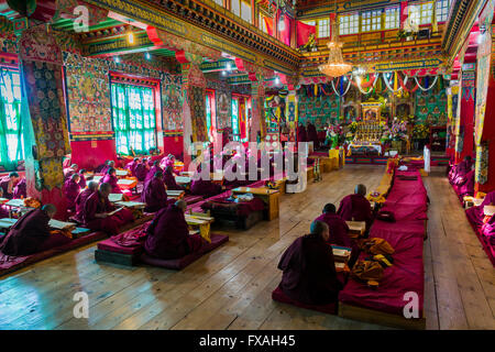 De nombreux moines et moniales prient à l'intérieur du monastère Thupten Chholing Gompa, Junbesi, Solo Khumbu, Népal Banque D'Images