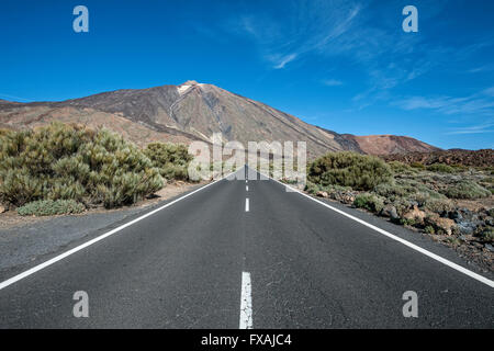 Route dans le Parc National du Teide, Parque Nacional de las Canadas del Teide, volcan Teide derrière, Tenerife, Canaries, Espagne Banque D'Images