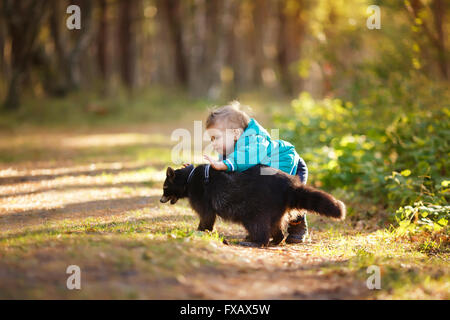 Un ans avec le raton laveur dans une forêt Banque D'Images