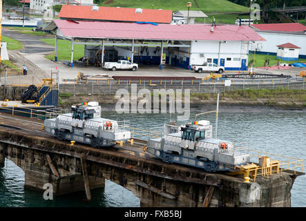 Deux mueles stationnés sur des grilles verrouillées dans les écluses de Gatun. Banque D'Images