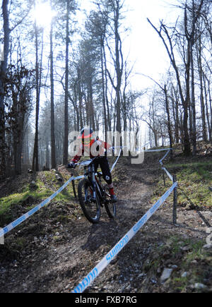 Blandford, Dorset, UK, 13 mars 2016. Okeford Hill MTB DH. De l'action ouverture 2016 course de descente sur l'Okef nouvellement rouvert Banque D'Images