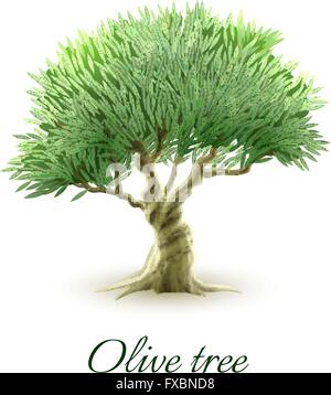 Seul olivier photo print Illustration de Vecteur