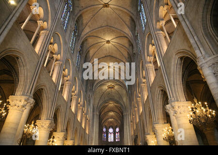 La France. Paris. Cathédrale de Notre Dame. À l'intérieur. Banque D'Images