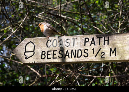 Le south west coast path signe à Beesands Devon UK avec un merle oiseau posé sur elle Banque D'Images