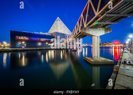 L'Aquarium National de nuit, à Baltimore, Maryland. Banque D'Images