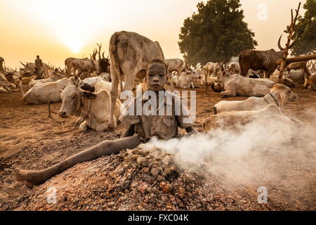 Le Soudan du Sud. Feb 23, 2016. Un jeune garçon est assis Mundari dans les cendres d'un feu couvant dung pour garder au chaud. Ankole-Watusi, également connu sous le nom de Longhorn Ankole, ou "bétail de Kings' est un livre de 900 à 1 600 bovins de race Landrace Originaire de l'Afrique avec des cornes qui peuvent atteindre jusqu'à 8 pi de hauteur. © Tarek Zaidi/ZUMA/ZUMAPRESS.com/Alamy fil Live News Banque D'Images