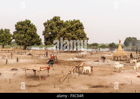 Le Soudan du Sud. Feb 21, 2016. Au cours de l'après-midi, le camp est vide, comme tous les bovins ont été pris hors du pâturage. Le cycle des taches blanches représentent chaque habitation de la famille. Ankole-Watusi, également connu sous le nom de Longhorn Ankole, ou "bétail de Kings' est un livre de 900 à 1 600 bovins de race Landrace Originaire de l'Afrique avec des cornes qui peuvent atteindre jusqu'à 8 pi de hauteur. © Tarek Zaidi/ZUMA/ZUMAPRESS.com/Alamy fil Live News Banque D'Images