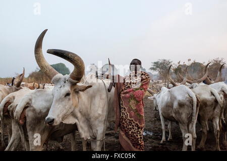 Le Soudan du Sud. 13 Jan, 2016. Un homme se Mundari watch pour une éventuelle des voleurs avec un AK-47. Les vaches sont un bien précieux et violents raids par les tribus voisines sont communs. Ankole-Watusi, également connu sous le nom de Longhorn Ankole, ou "bétail de Kings' est un livre de 900 à 1 600 bovins de race Landrace Originaire de l'Afrique avec des cornes qui peuvent atteindre jusqu'à 8 pi de hauteur. © Tarek Zaidi/ZUMA/ZUMAPRESS.com/Alamy fil Live News Banque D'Images