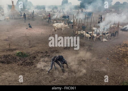 Le Soudan du Sud. Feb 22, 2016. Quand ils ont une pause de s'occupant de leurs vaches, deux jeunes garçons Mundari attaquer devant le camp. Lutte masculine est une partie importante de leur tradition culturelle. Ankole-Watusi, également connu sous le nom de Longhorn Ankole, ou "bétail de Kings' est un livre de 900 à 1 600 bovins de race Landrace Originaire de l'Afrique avec des cornes qui peuvent atteindre jusqu'à 8 pi de hauteur. © Tarek Zaidi/ZUMA/ZUMAPRESS.com/Alamy fil Live News Banque D'Images