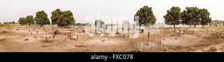 Le Soudan du Sud. Feb 21, 2016. Au cours de l'après-midi, le camp est vide, comme tous les bovins ont été pris hors du pâturage. Le cycle des taches blanches représentent chaque habitation de la famille. Ankole-Watusi, également connu sous le nom de Longhorn Ankole, ou "bétail de Kings' est un livre de 900 à 1 600 bovins de race Landrace Originaire de l'Afrique avec des cornes qui peuvent atteindre jusqu'à 8 pi de hauteur. © Tarek Zaidi/ZUMA/ZUMAPRESS.com/Alamy fil Live News Banque D'Images