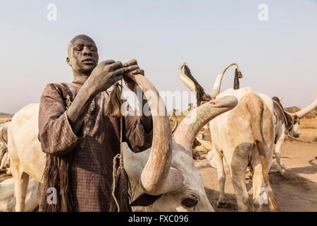 Le Soudan du Sud. Feb 21, 2016. Un homme Mundari attache glands pour les cornes de ses animaux précieux. Fait à partir de la queue de la vache, ces glands se brosser les mouches des vaches les yeux. Ankole-Watusi, également connu sous le nom de Longhorn Ankole, ou "bétail de Kings' est un livre de 900 à 1 600 bovins de race Landrace Originaire de l'Afrique avec des cornes qui peuvent atteindre jusqu'à 8 pi de hauteur. © Tarek Zaidi/ZUMA/ZUMAPRESS.com/Alamy fil Live News Banque D'Images