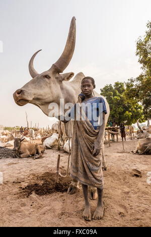 Le Soudan du Sud. Feb 21, 2016. Un garçon Mundari coups son animal préféré. Le Mundari traiter leur bétail comme un autre membre de la famille. Ankole-Watusi, également connu sous le nom de Longhorn Ankole, ou "bétail de Kings' est un livre de 900 à 1 600 bovins de race Landrace Originaire de l'Afrique avec des cornes qui peuvent atteindre jusqu'à 8 pi de hauteur. © Tarek Zaidi/ZUMA/ZUMAPRESS.com/Alamy fil Live News Banque D'Images