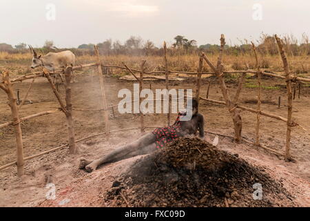 Le Soudan du Sud. Feb 21, 2016. Une tribu Mundari chauffe à côté de brûlant du charbon et de l'ordure. Ankole-Watusi, également connu sous le nom de Longhorn Ankole, ou "bétail de Kings' est un livre de 900 à 1 600 bovins de race Landrace Originaire de l'Afrique avec des cornes qui peuvent atteindre jusqu'à 8 pi de hauteur. © Tarek Zaidi/ZUMA/ZUMAPRESS.com/Alamy fil Live News Banque D'Images