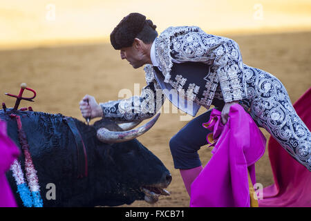 Séville, Espagne. 14 avr, 2016. Torero tue le taureau lors d'une corrida de la ''Feria de Abril'' (Foire d'avril) célébrée à arènes Real Maestranza de Séville : Crédit Daniel Gonzalez Acuna/ZUMA/Alamy Fil Live News Banque D'Images