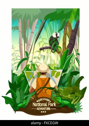 Affiche des paysages forestiers tropicaux colorés Illustration de Vecteur