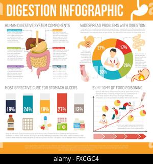 Infographie - Digestion Définir Illustration de Vecteur