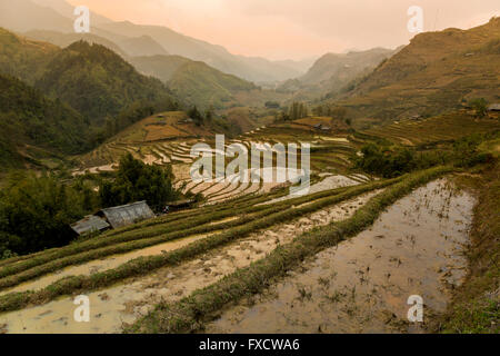 Coucher du soleil dans les rizières de SaPa Banque D'Images