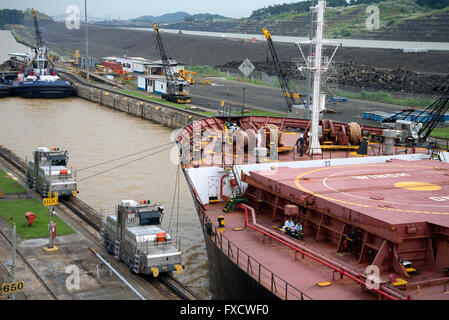 Navire en montrant les liens de Gatun lié au navire à partir de la bouilloire mueles sur une piste le long du canal. Banque D'Images