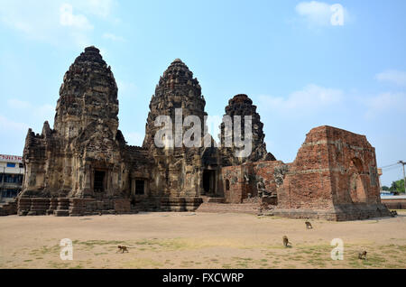 Monkey marche à l'ancienne et les ruines des capacités Phra Prang Sam Yod le 23 février 2016 à Lopburi, Thaïlande. Banque D'Images
